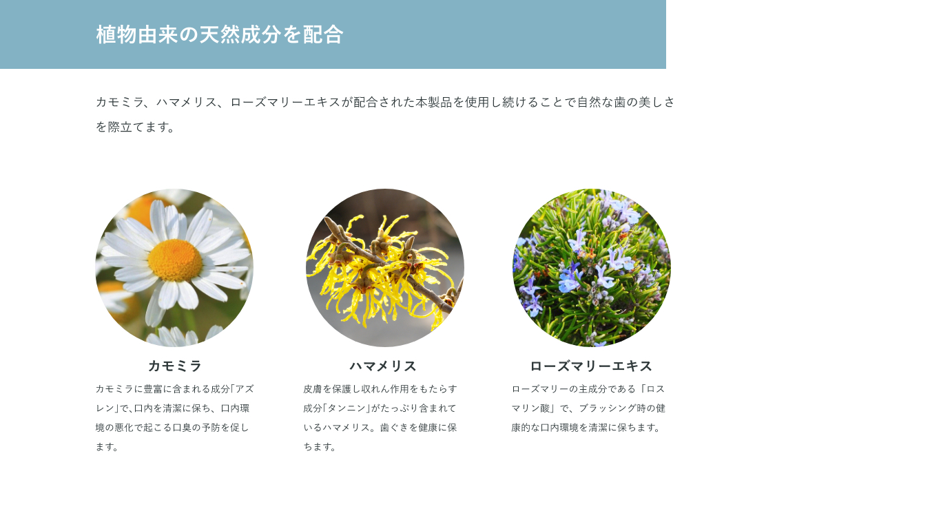 植物由来の天然成分を配合 カモミラ、ハマメリス、ローズマリーエキスが配合された本製品を使用し続けることで自然な歯の美しさを際立てます。カモミラ カモミラに豊富に含まれる成分｢アズレン｣で､口内を清潔に保ち、口内環境の悪化で起こる口臭の予防を促します。ハマメリス 皮膚を保護し収れん作用をもたらす成分｢タンニン｣がたっぷり含まれているハマメリス。歯ぐきを健康に保ちます。ローズマリーエキス ローズマリーの主成分である「ロスマリン酸」で、ブラッシング時の健康的な口内環境を清潔に保ちます。