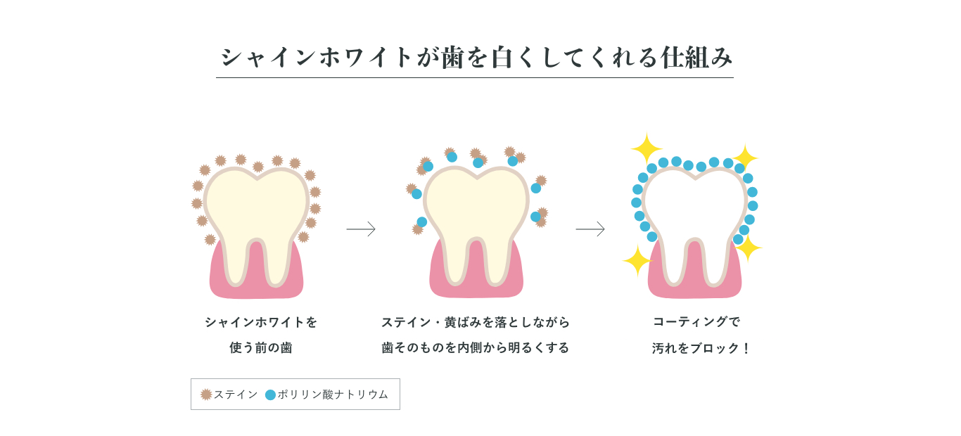 シャインホワイトが歯を白くしてくれる仕組み シャインホワイトを使う前の歯 ステイン・黄ばみを落としながら歯そのものを内側から明るくする コーティングで汚れをブロック！