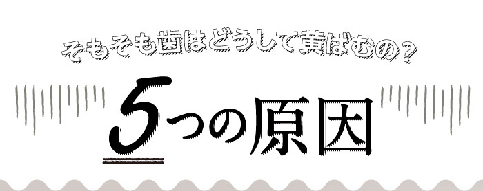 そもそも歯はどうして黄ばむの？5つの原因